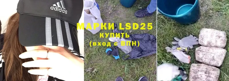 купить наркотики сайты  Волхов  LSD-25 экстази кислота 